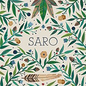 Thumbnail for the Saro - Saro link, provided by host site