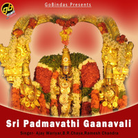 Thumbnail for the B.R.Chaya - Sarvaranu link, provided by host site
