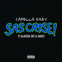 Image of Capella Grey linking to their artist page due to link from them being at the top of the main table on this page