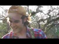 Thumbnail for the Slaughter Beach, Dog - Satisfied Mind link, provided by host site