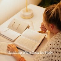 Thumbnail for the White Noise for Studying - Satisfying White Noise for Study link, provided by host site