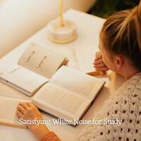Thumbnail for the White Noise for Studying - Satisfying White Noise for Study link, provided by host site
