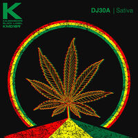 Thumbnail for the Dj30A - Sativa link, provided by host site