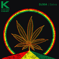 Thumbnail for the Dj30A - SATIVA link, provided by host site