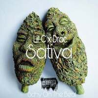 Thumbnail for the Lil C - Sativa link, provided by host site