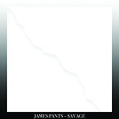 Thumbnail for the James Pants - Savage link, provided by host site