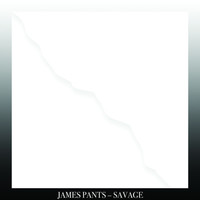 Thumbnail for the James Pants - Savage link, provided by host site