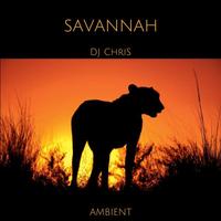 Thumbnail for the DJ Chris - SAVANNAH link, provided by host site
