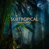 Thumbnail for the Rainforest - Savannah Night link, provided by host site
