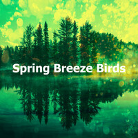Thumbnail for the Relaxing Nature Ambience - Savannah Sparrow Rain Spatter link, provided by host site