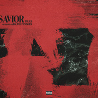 Thumbnail for the Thurz - Savior link, provided by host site