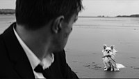 Thumbnail for the Phoebe Bridgers - Savior Complex link, provided by host site
