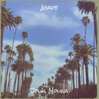 Thumbnail for the Jesús Molina - Saviour link, provided by host site