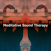 Thumbnail for the Musica Para Estudiar Academy - Saviour Quiet link, provided by host site