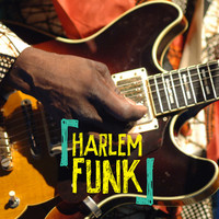 Thumbnail for the Jean-Michel Vallet - Sax Machine link, provided by host site