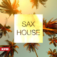 Thumbnail for the Michael Smith - Sax on the Beach link, provided by host site