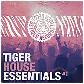 Thumbnail for the Fisher - Saxation (Jerome Robins Remix) link, provided by host site