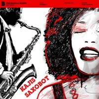Thumbnail for the Kajis - Saxobot link, provided by host site