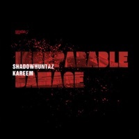 Thumbnail for the Shadow Huntaz - Say link, provided by host site