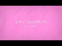 Thumbnail for the Gavin Haley - Say Goodbye link, provided by host site