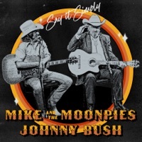 Thumbnail for the Mike and the Moonpies - Say It Simply link, provided by host site