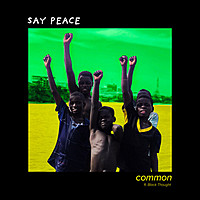 Thumbnail for the Common - Say Peace link, provided by host site