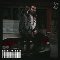 Thumbnail for the Lilo Key - Say When link, provided by host site