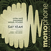 Thumbnail for the Ultra Naté - Say Yeah link, provided by host site
