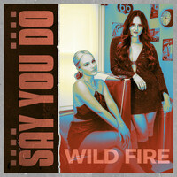 Thumbnail for the Wildfire - Say You Do link, provided by host site