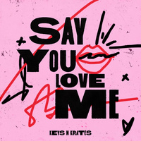 Thumbnail for the Keys N Krates - Say You Love Me link, provided by host site
