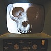 Thumbnail for the Unknown Mortal Orchestra - SB - 04 link, provided by host site