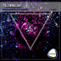 Thumbnail for the Following Light - Scale link, provided by host site