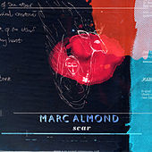 Thumbnail for the Marc Almond - Scar link, provided by host site