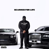 Thumbnail for the Monroe Flow - Scarred For Life link, provided by host site