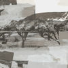 Thumbnail for the Steffi - Schraper link, provided by host site