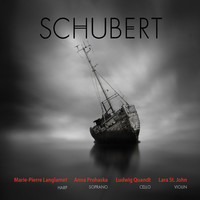 Thumbnail for the Franz Schubert - Schubert link, provided by host site