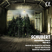 Thumbnail for the Martin Helmchen - Schubert: Arpeggione Sonata & Trio No. 2 link, provided by host site