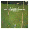 Thumbnail for the Alexander Melnikov - Schubert: Duos pour Piano et Violon link, provided by host site