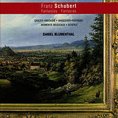 Thumbnail for the Daniel Blumenthal - Schubert: Fantaisies link, provided by host site