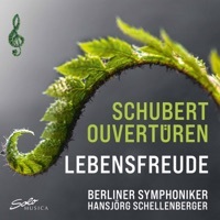 Thumbnail for the Berlin Symphony Orchestra - Schubert: Overtures link, provided by host site
