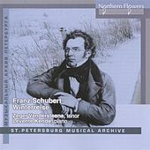 Thumbnail for the Zeger Vandersteene - Schubert: Winterreise link, provided by host site