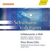 Thumbnail for the Peter Bruns - SCHUMANN, R. / VOLKMANN, F.R.: Cello Concertos link, provided by host site