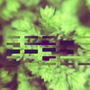 Thumbnail for the Technicalissues - Sci Remixes link, provided by host site