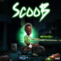 Thumbnail for the Wnc Whop Bezzy - Scoob link, provided by host site