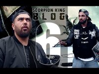 Thumbnail for the Summer Cem - SCORPION KING Blog 6 [HAK] link, provided by host site