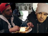 Thumbnail for the Summer Cem - SCORPION KING Blog 7 [HAK] link, provided by host site