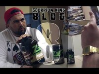 Thumbnail for the Summer Cem - SCORPION KING Blog 8 [HAK] link, provided by host site