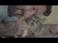 Thumbnail for the Lil Bub - Scratches, Kisses, and Purrs with link, provided by host site