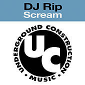 Thumbnail for the DJ RIP - Scream link, provided by host site