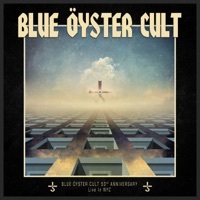 Thumbnail for the Blue Oyster Cult - Screams link, provided by host site